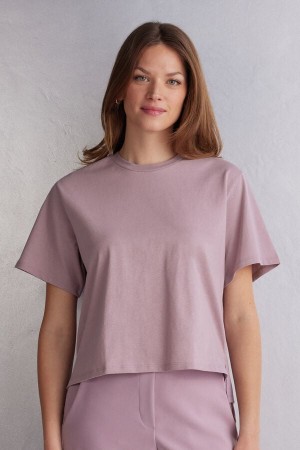 Intimissimi Boxy Fit Cotton Short Sleeve Damen Rosa | MIW-394270