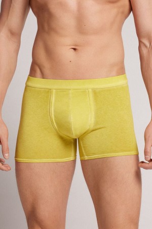 Intimissimi Natural Fresh Cotton Boxer Herren Gelb | VDS-534281