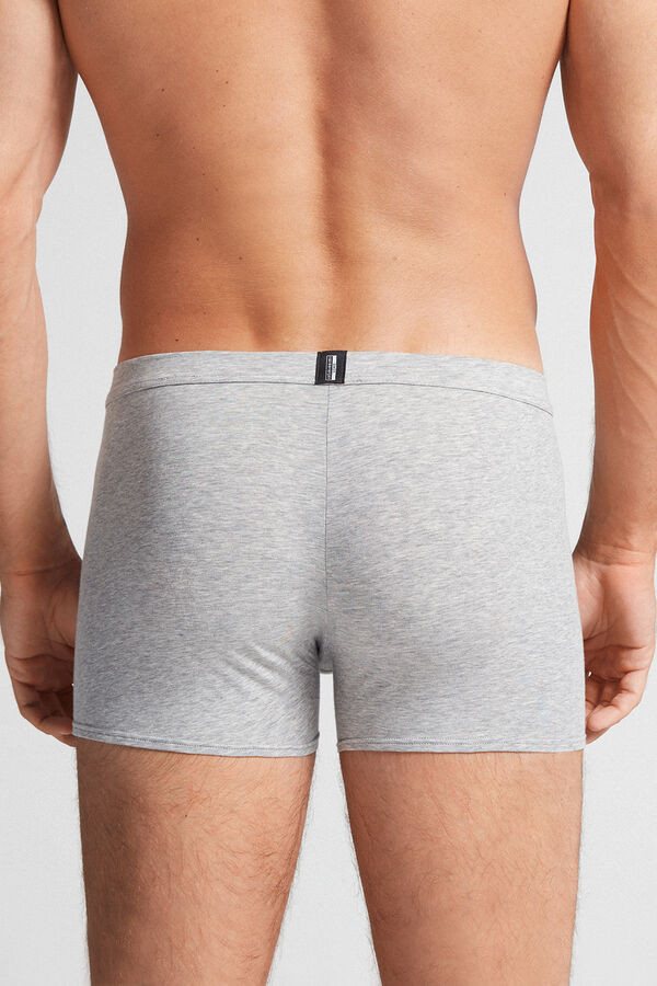 Intimissimi Natural Fresh Cotton Boxer Herren Hellgrau | UEA-821560