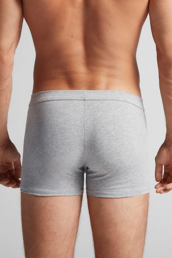 Intimissimi Superior Cotton Boxer Herren Hellgrau | ROP-367902